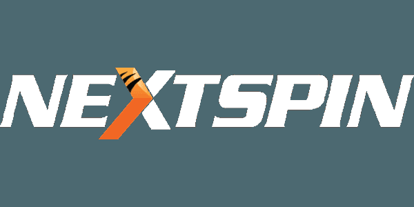 NS-COLOR Logo